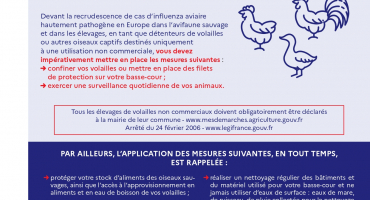 grippe aviaire 2023